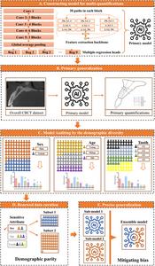 Multi-quantifying-maxillofacial-traits-via-a-demographic-parity-based-ai-model-–-eurekalert!