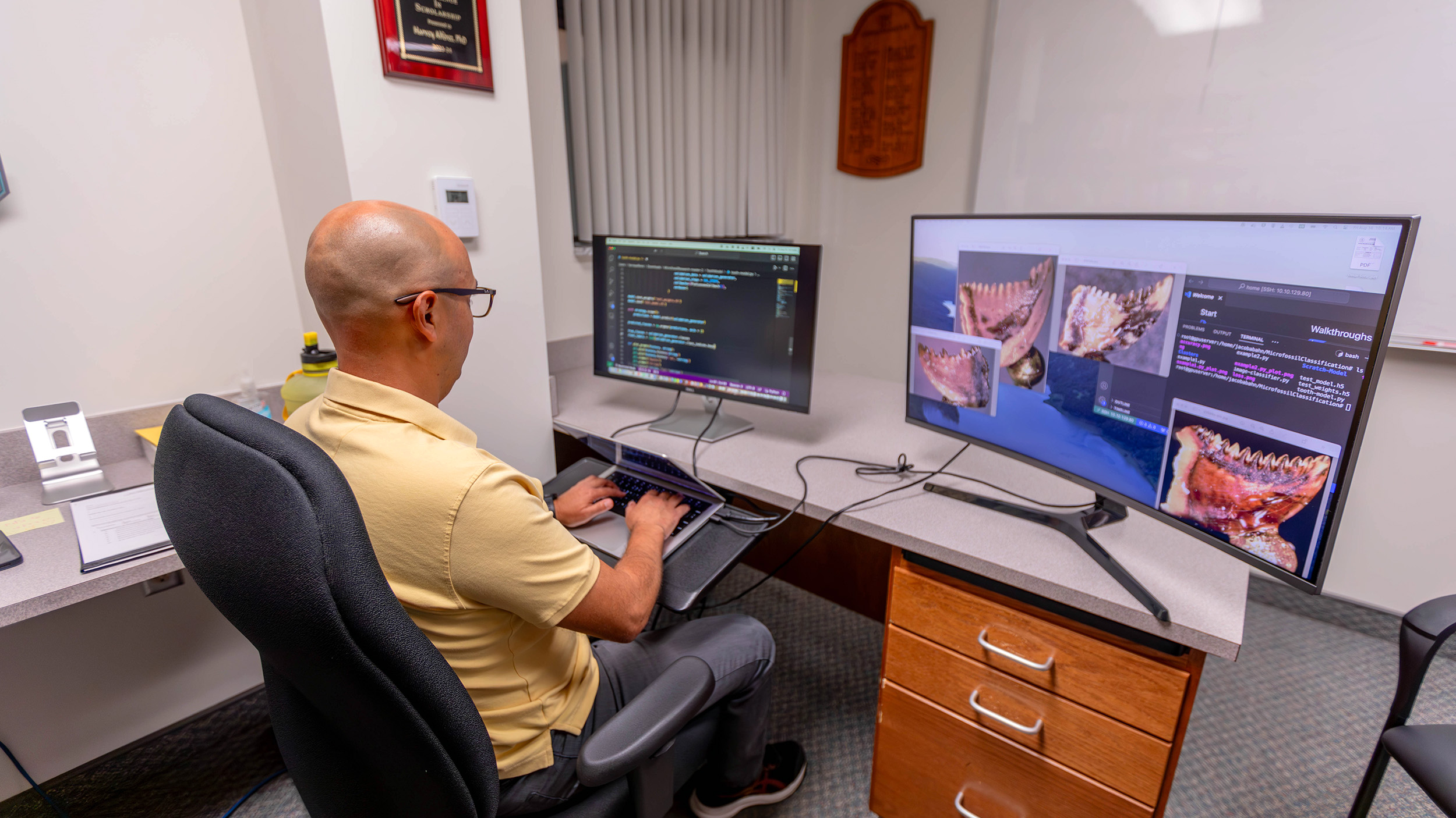 Hispanic man sits behind a computer looking at a graphic of dinosaur teeth