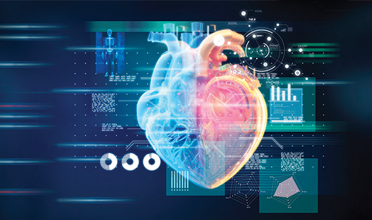 digital rendering of a human heart