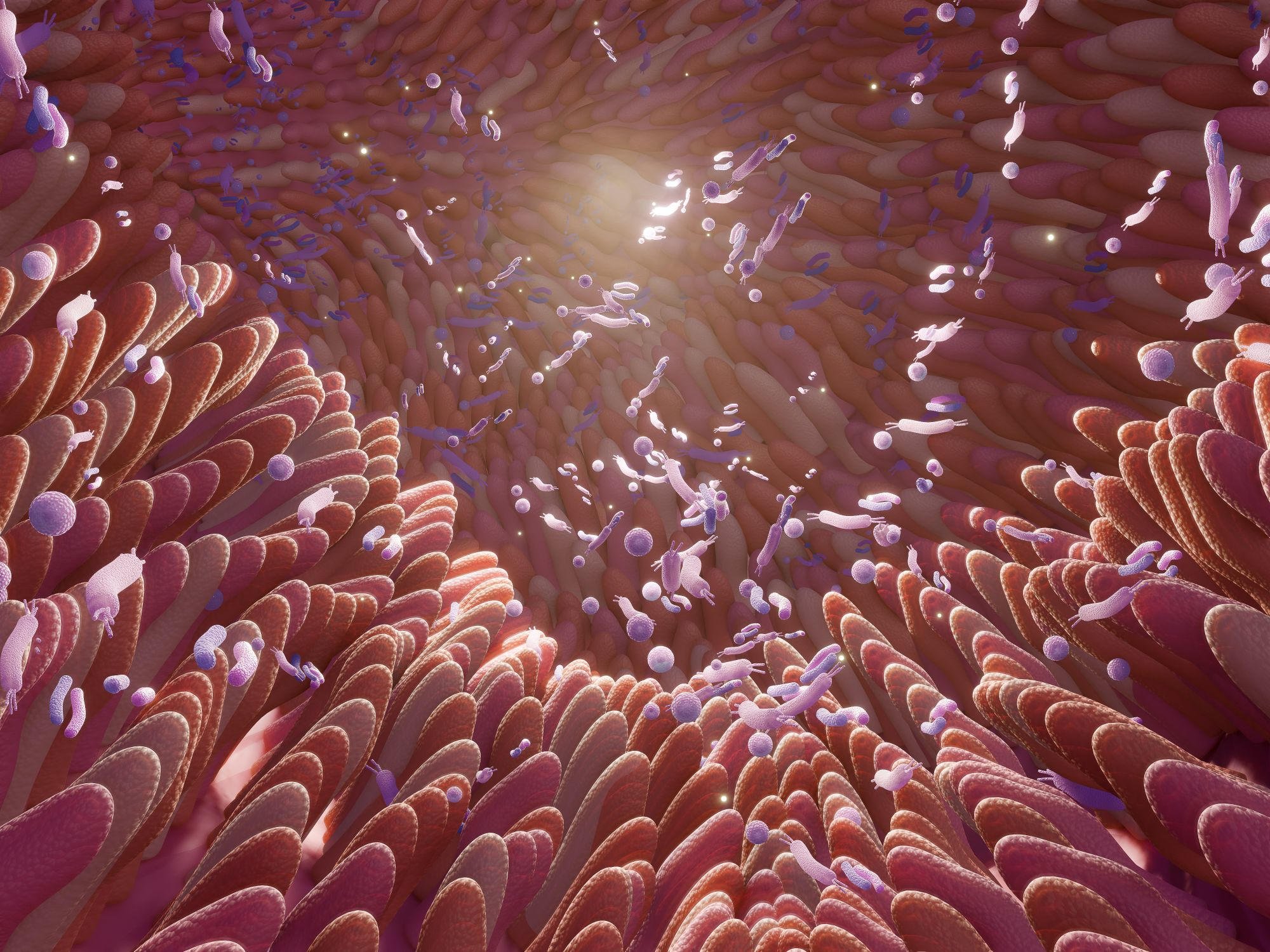 Ai-decodes-the-secret-language-of-your-gut-bacteria-–-scitechdaily