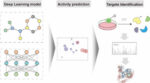 A-dual-view-deep-learning-driven-discovery-of-cinnamoyl-anthranilic-acid-derivatives-against-…