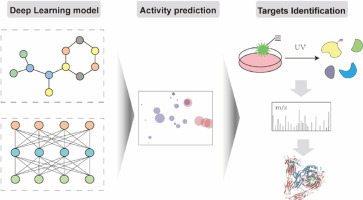 A-dual-view-deep-learning-driven-discovery-of-cinnamoyl-anthranilic-acid-derivatives-against-…