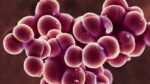 Generative-ai-gave-mit-scientists-a-new-tool-to-fight-antibiotic-resistant-bacteria-–-cnet