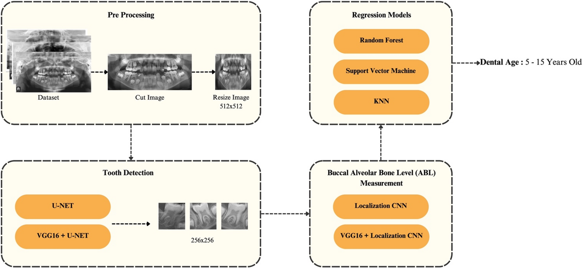 A-hybrid-convolutional-neural-network-model-for-dental-age-estimation-using-buccal-alveolar-…