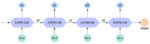 Prediction-of-influenza-like-illness-incidence-using-meteorological-factors-in-kunming