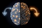 Humans-and-ai-share-similar-learning-strategies-–-neuroscience-news