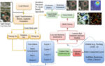 Optimized-multi-hierarchical-feature-fusion-with-multi-kernel-cnn-and-spectral-spatial-…