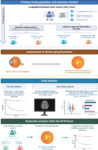 Ai-powered-eye-scan-predicts-risk-of-cognitive-decline-and-dementia-–-medical-xpress