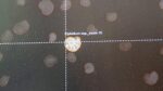 Tricorder-tech:-ai-matches-human-experts-in-classifying-microscopic-organisms