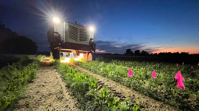 No-herbicides-needed:-rutgers-tests-laser-powered-weed-control-with-ai-precision
