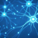 ai-is-reshaping-neuroscience-research-|-digital-watch-observatory