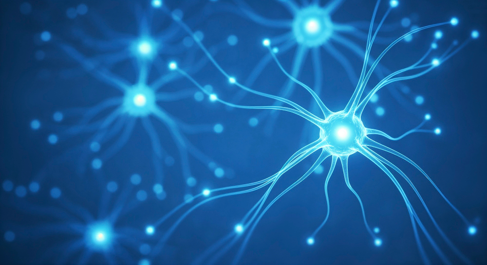 ai-is-reshaping-neuroscience-research-|-digital-watch-observatory