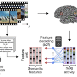 new-ai-technology-japan-decodes-human-thoughts-and-visual-images-from-brain-activity-data