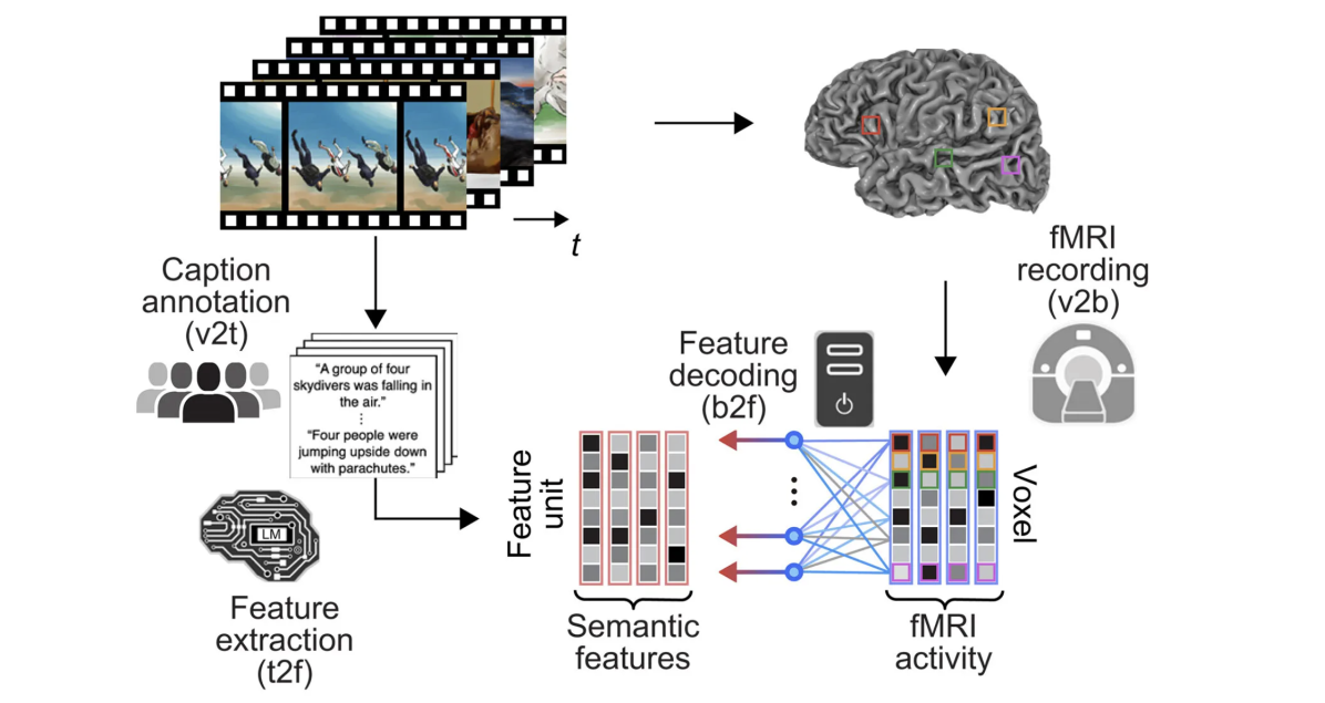 new-ai-technology-japan-decodes-human-thoughts-and-visual-images-from-brain-activity-data