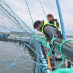 mit-sea-grant-students-explore-the-intersection-of-technology-and-offshore-aquaculture-in-norway