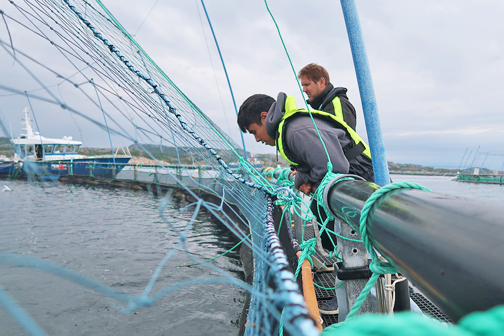 mit-sea-grant-students-explore-the-intersection-of-technology-and-offshore-aquaculture-in-norway