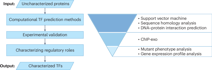 approaches-for-accelerating-microbial-gene-function-discovery-using-artificial-intelligence-–-nature-microbiology