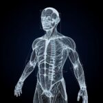 sal-achieves-improved-classification-across-10-benchmarks-with-novel-learning