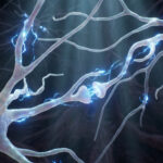 scientists-use-machine-learning-to-control-specific-brain-circuits