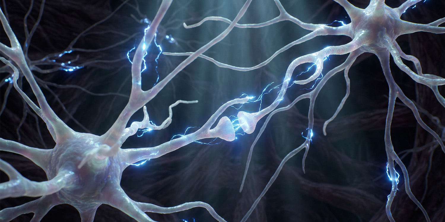 scientists-use-machine-learning-to-control-specific-brain-circuits