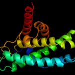 multi-evolve-accelerates-protein-engineering-with-machine-learning