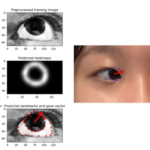 development-of-a-novel-deep-learning-based-gaze-estimation-method-for-detecting-strabismus