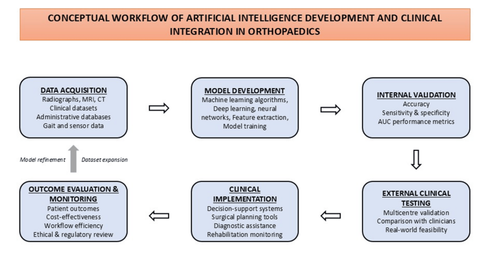artificial-intelligence-in-orthopaedic-research:-a-technical-report-on-opportunities-and-pitfalls