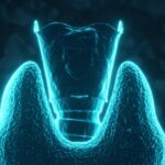 evaluating-ai-for-thyroid-nodule-diagnosis