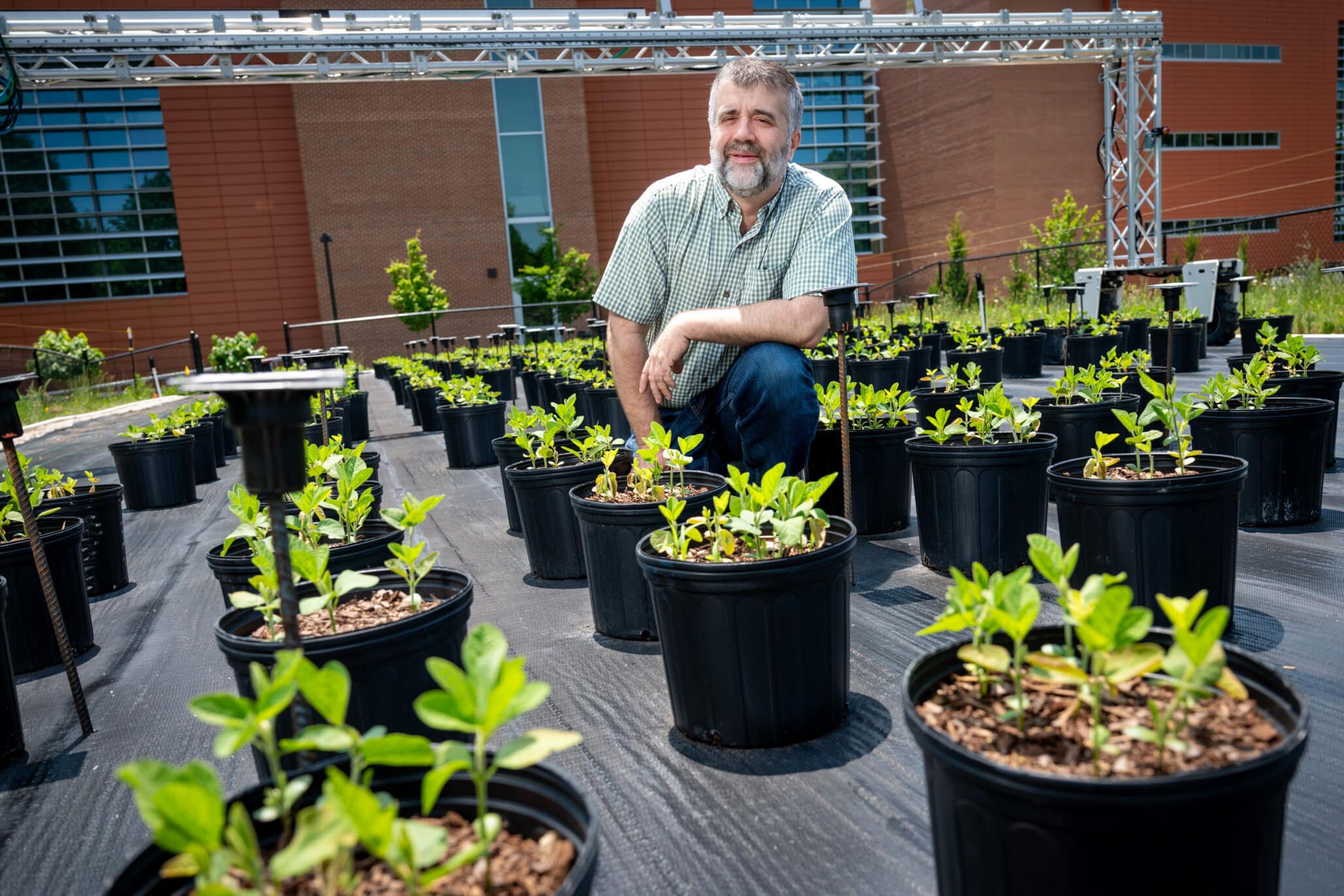 how-ai-accelerates-the-crop-breeding-cycle