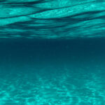 ai-reveals-global-ocean-sediment-carbon-cycling