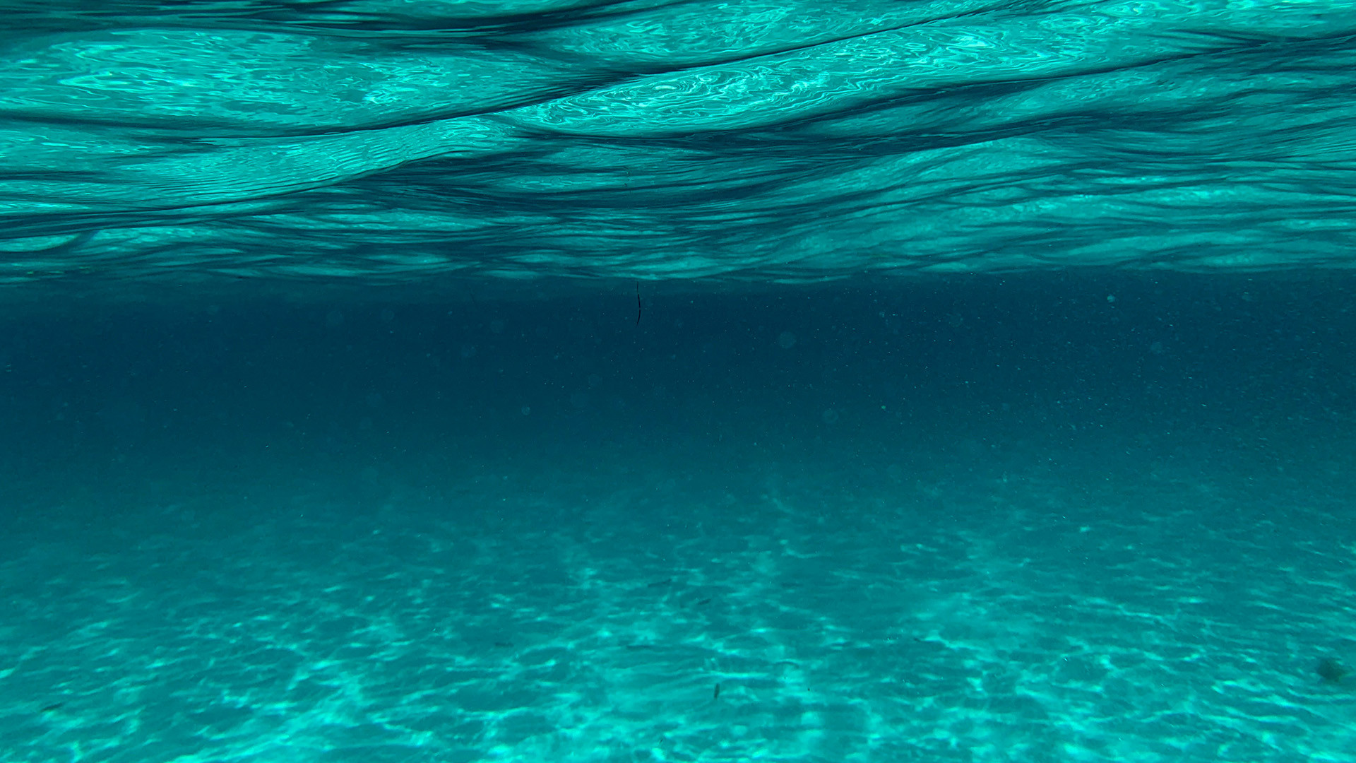 ai-reveals-global-ocean-sediment-carbon-cycling