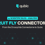 fruit-fly-connectome:-how-drosophila-brain-architecture-reshapes-ai-—-from-flywire-to-qubic