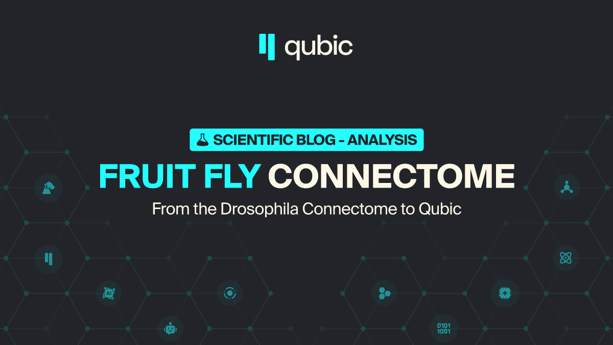 fruit-fly-connectome:-how-drosophila-brain-architecture-reshapes-ai-—-from-flywire-to-qubic