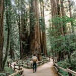 how-to-lie-with-statistics-with-your-robot-best-friend-|-towards-data-science