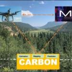 eyes-in-the-sky:-drones-and-ai-set-to-revolutionize-forest-carbon-accounting