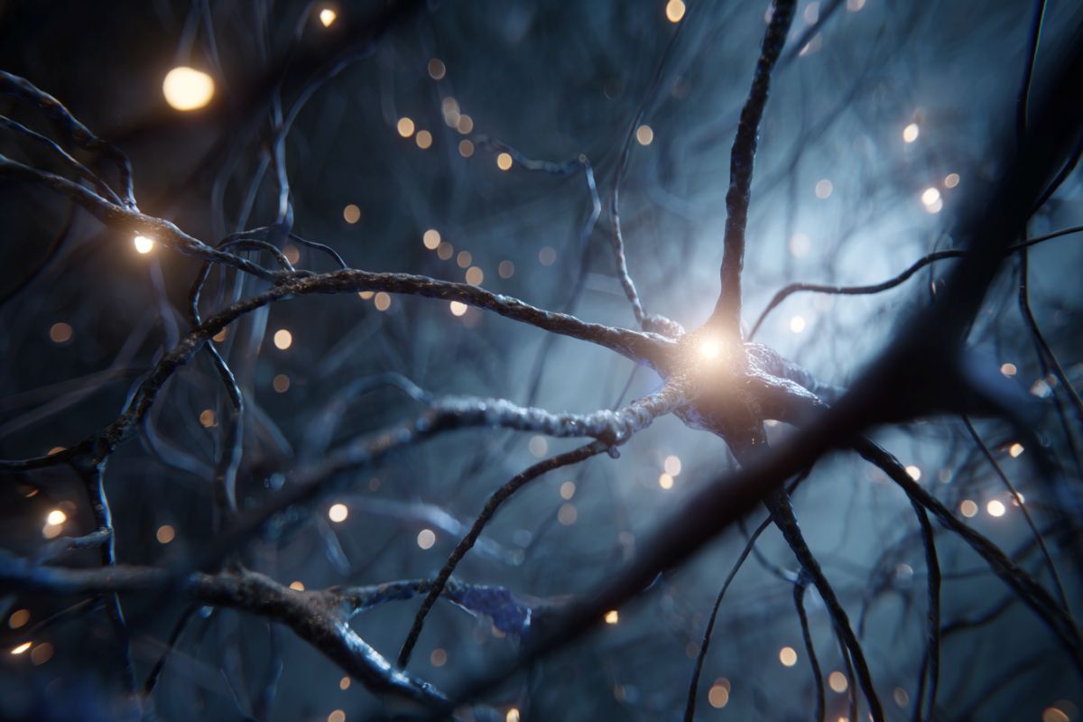 new-blueprint-for-brain-repair-–-neuroscience-news