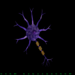 neuralib:-a-native-ai-and-deep-learning-runtime-—-library-by-alien-algorithms