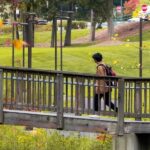 george-mason-biosciences-doctoral-student-turns-setbacks-into-nih-research-opportunity