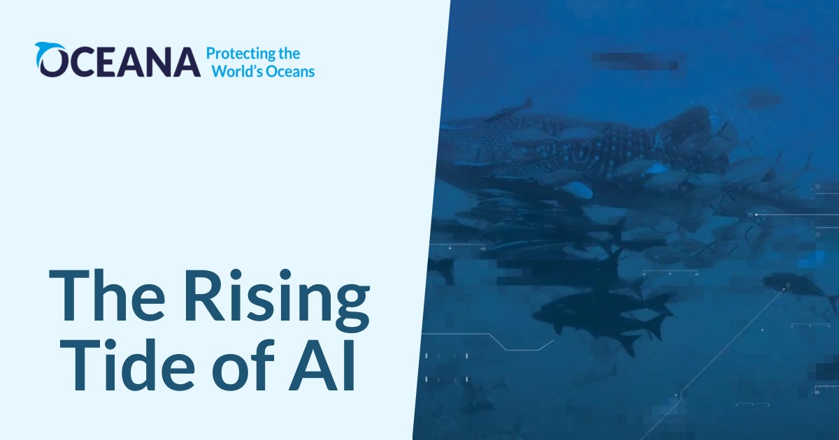 the-rising-tide-of-ai-|-oceana