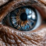 retinal-photos-and-ai-predict-early-alzheimer’s-risk-–-neuroscience-news