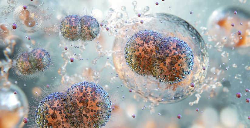 ai-discovers-two-new-antibiotics-for-drug-resistant-gonorrhea