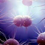going-after-gonorrhea-with-artificial-intelligence