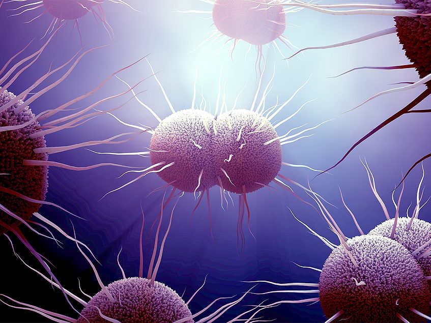 going-after-gonorrhea-with-artificial-intelligence