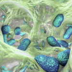ai-discovers-potential-antimicrobial-“prionin”-peptides