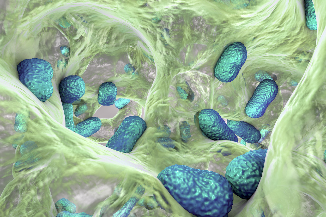 ai-discovers-potential-antimicrobial-“prionin”-peptides