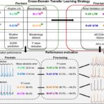 cross-domain-transfer-learning-strategy-enhances-interpretability-of-deep-learning-model-explanations-–-scientific-reports