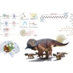 lapworth-lecture-–-from-molecules-to-models:-integrating-experimental-taphonomy-and-ai-to-resurrect-ancient-life-–-university-of-birmingham
