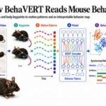 kaist-develops-ai-that-reads-animal-behavior-like-language