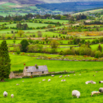 we-assume-tech-clusters-form-around-talent,-but-the-ai-boom-is-increasingly-chasing-cheap-power-—-how-northern-virginia,-iowa-and-ireland-became-data-centre-capitals-–-silicon-canals