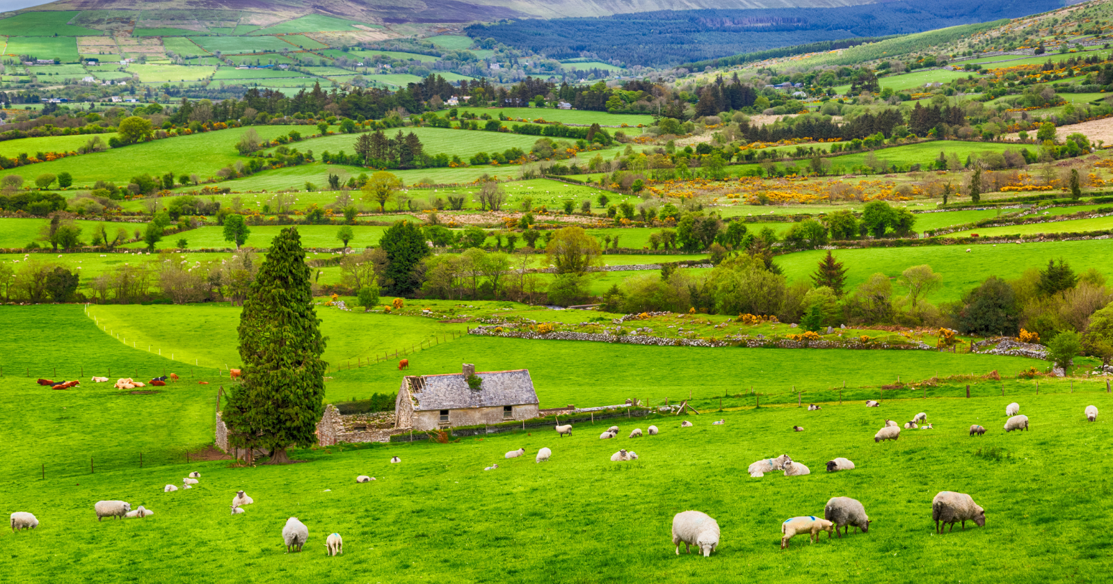 we-assume-tech-clusters-form-around-talent,-but-the-ai-boom-is-increasingly-chasing-cheap-power-—-how-northern-virginia,-iowa-and-ireland-became-data-centre-capitals-–-silicon-canals